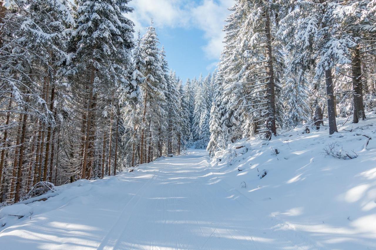 Almbauer Morgenbesser Trattenbach  Exterior foto
